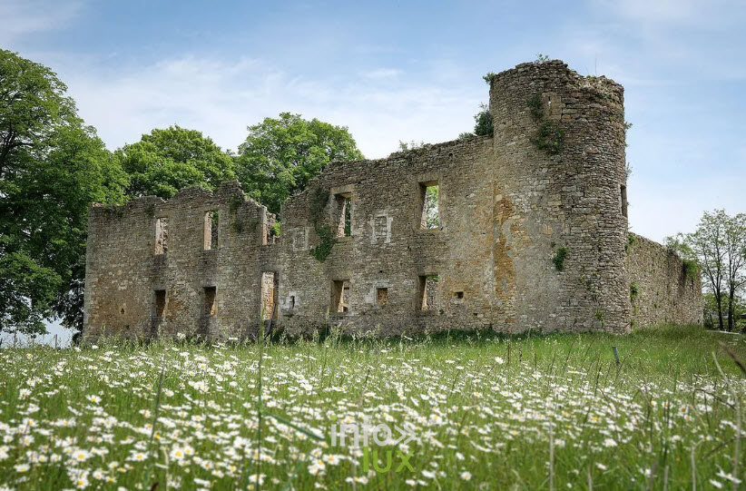 Château de Montquintin, Belgium
